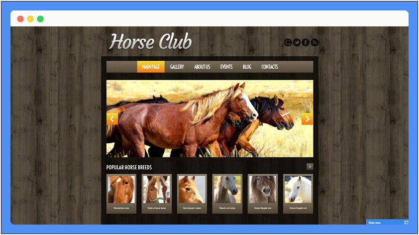 Publisher Template Horse Theme Free Download