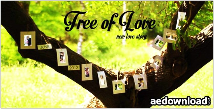 Romantic Memories After Effects Effect Template Download