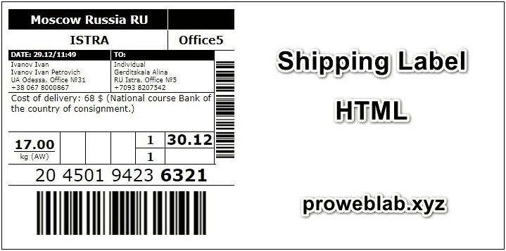 Shipping Template Free Download Html Css