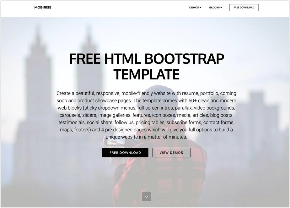 Simple Bootstrap Responsive Templates Free Download
