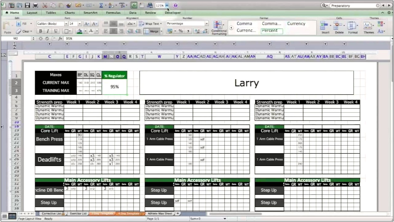 Strength And Conditioning Template Download Excel