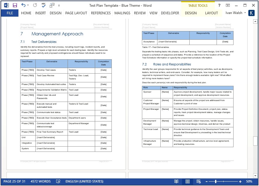 Test Summary Report Template In Word