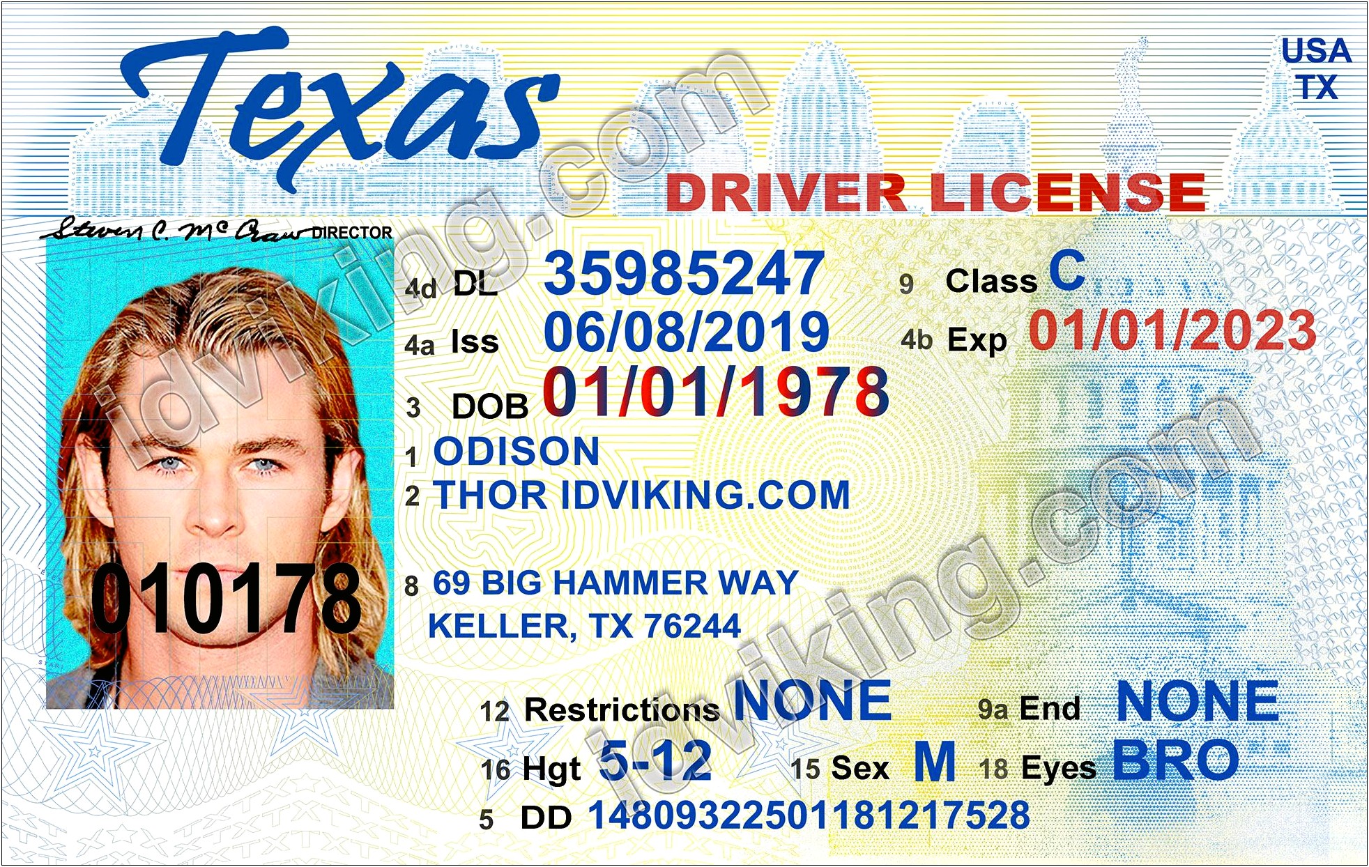Texas Temp Id Template Free Download