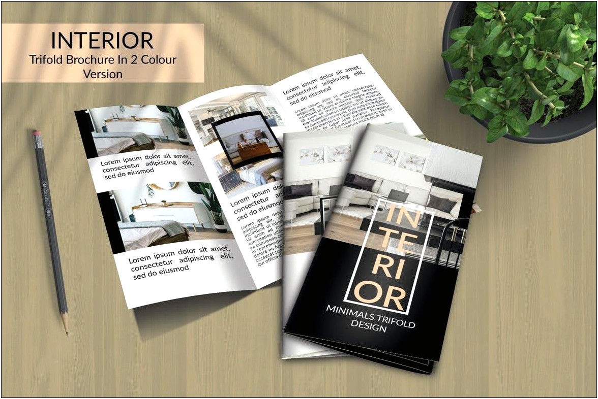Three Fold Brochure Templates Free Download