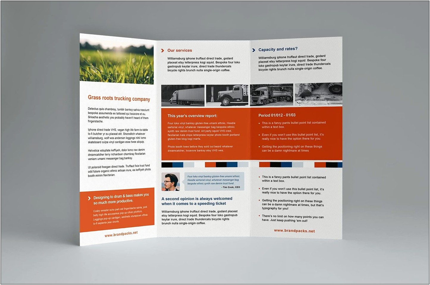 Tri Fold Brochure Template Ai Download