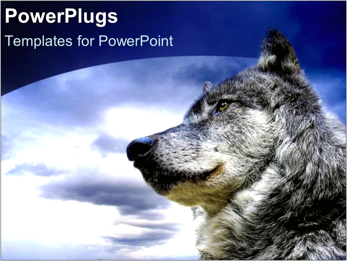Wolf Minimal Powerpoint Template Free Download