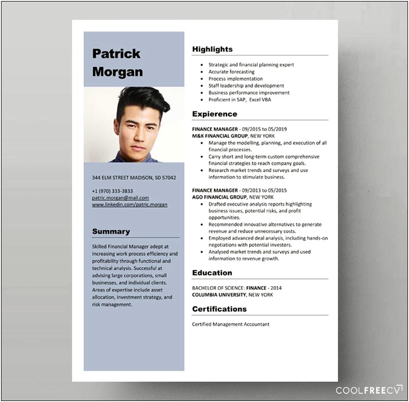 ﻿professional Cv Template 2015 Free Download